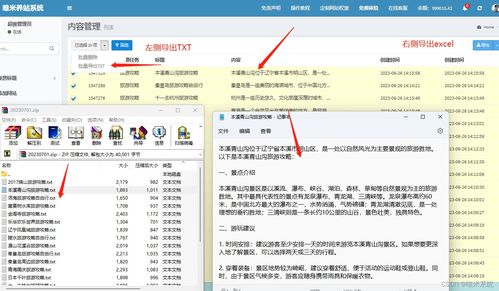 網站排名監(jiān)控的常見挑戰(zhàn) 應對搜索引擎算法變化