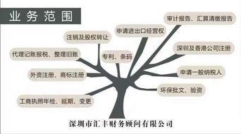 深圳進(jìn)出口經(jīng)營權(quán)與代理進(jìn)出口服務(wù)全解析